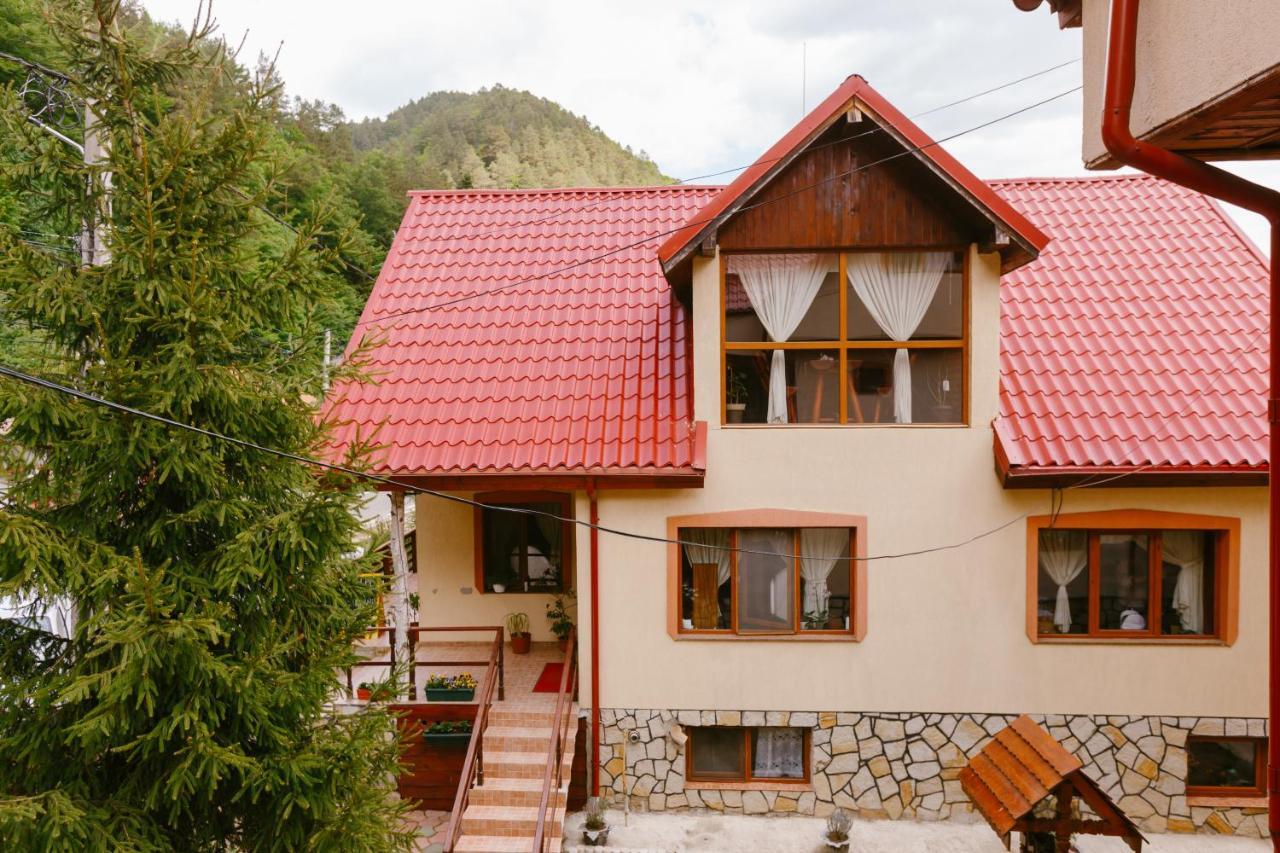 Pensiunea Luka Slănic-Moldova Exterior foto